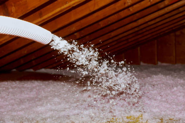 Types of Insulation We Offer in Ahoskie, NC