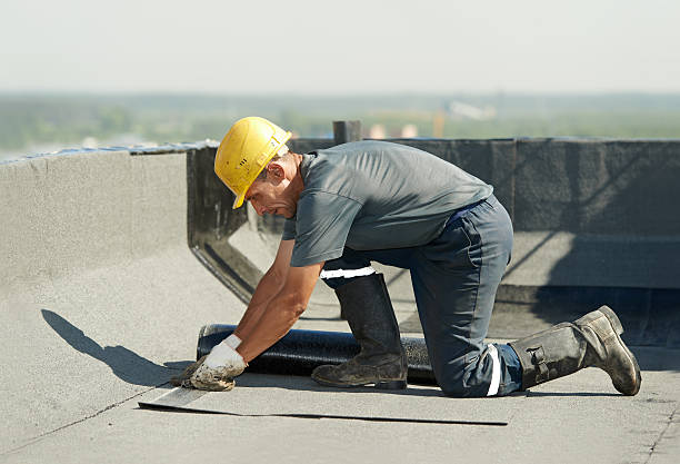 Best Insulation Maintenance and Repair in Ahoskie, NC