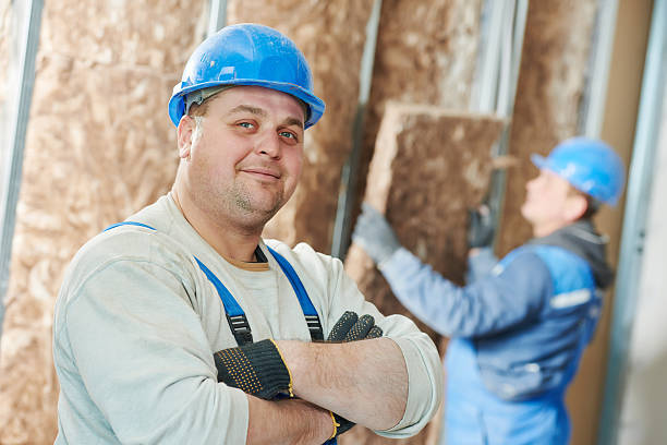 Best Residential Insulation in Ahoskie, NC