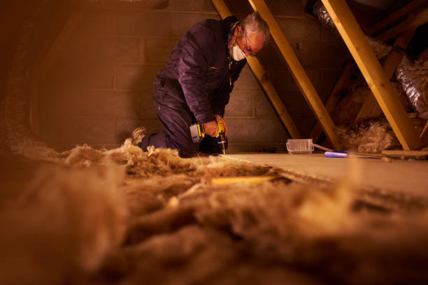 Best Energy Efficiency Insulation in Ahoskie, NC